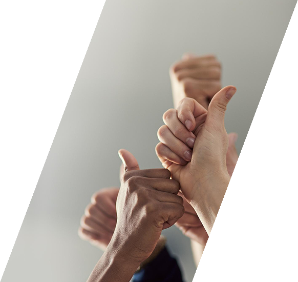 Consultor de negocios trabajando con cliente